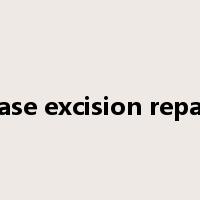 Base excision repair是什么意思