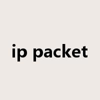 ip packet是什么意思