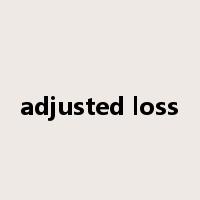 adjusted loss是什么意思