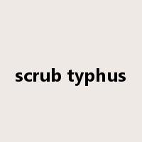 scrub typhus是什么意思