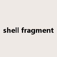 shell fragment是什么意思