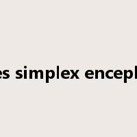 herpes simplex encephalitis是什么意思