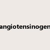angiotensinogen是什么意思