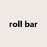 roll bar是什么意思