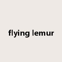 flying lemur是什么意思
