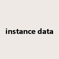 instance data是什么意思