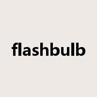 flashbulb是什么意思