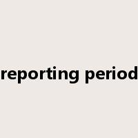 reporting period是什么意思