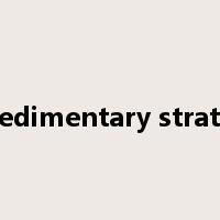 sedimentary strata是什么意思