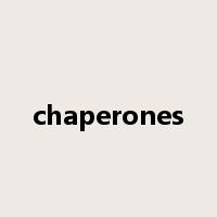 chaperones是什么意思