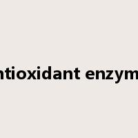 Antioxidant enzymes是什么意思