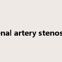 renal artery stenosis是什么意思