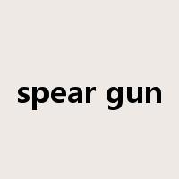 spear gun是什么意思