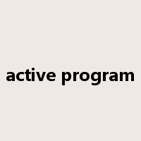 active program是什么意思