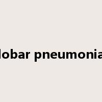 lobar pneumonia是什么意思