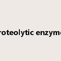 proteolytic enzymes是什么意思