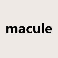 macule是什么意思