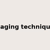 paging technique是什么意思