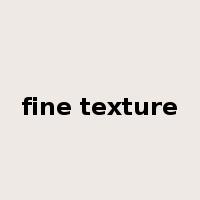 fine texture是什么意思