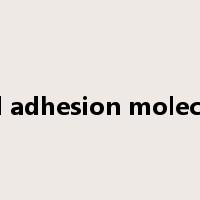 cell adhesion molecule是什么意思
