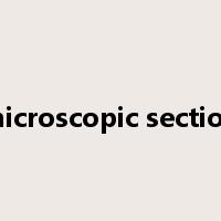 microscopic section是什么意思