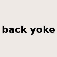 back yoke是什么意思