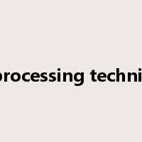 processing technic是什么意思
