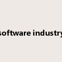software industry是什么意思