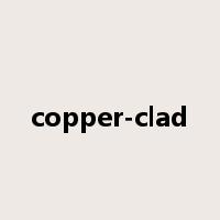 copper-clad是什么意思