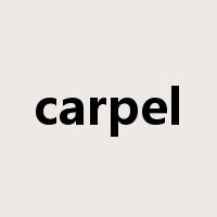 carpel是什么意思