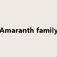 Amaranth family是什么意思