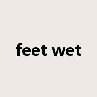feet wet是什么意思