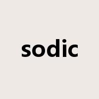 sodic是什么意思