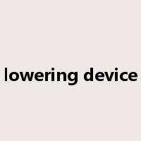 lowering device是什么意思