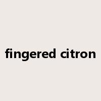 fingered citron是什么意思