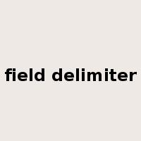 field delimiter是什么意思