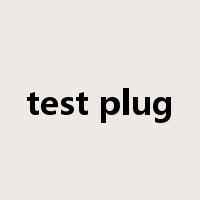 test plug是什么意思