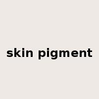 skin pigment是什么意思