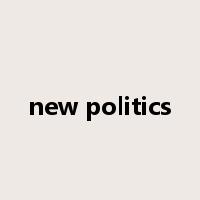 new politics是什么意思