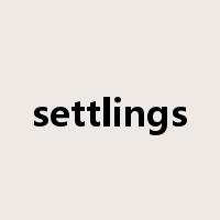 settlings是什么意思