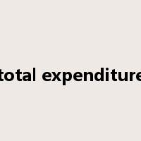 total expenditure是什么意思