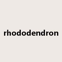 rhododendron是什么意思