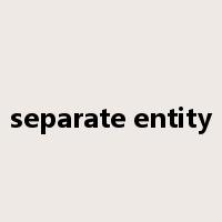 separate entity是什么意思