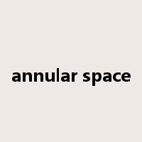annular space是什么意思