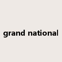 grand national是什么意思
