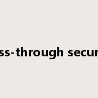 pass-through security是什么意思