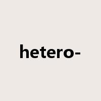 hetero-是什么意思
