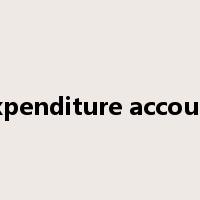 expenditure account是什么意思