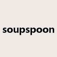soupspoon是什么意思