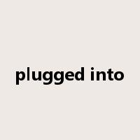 plugged into是什么意思